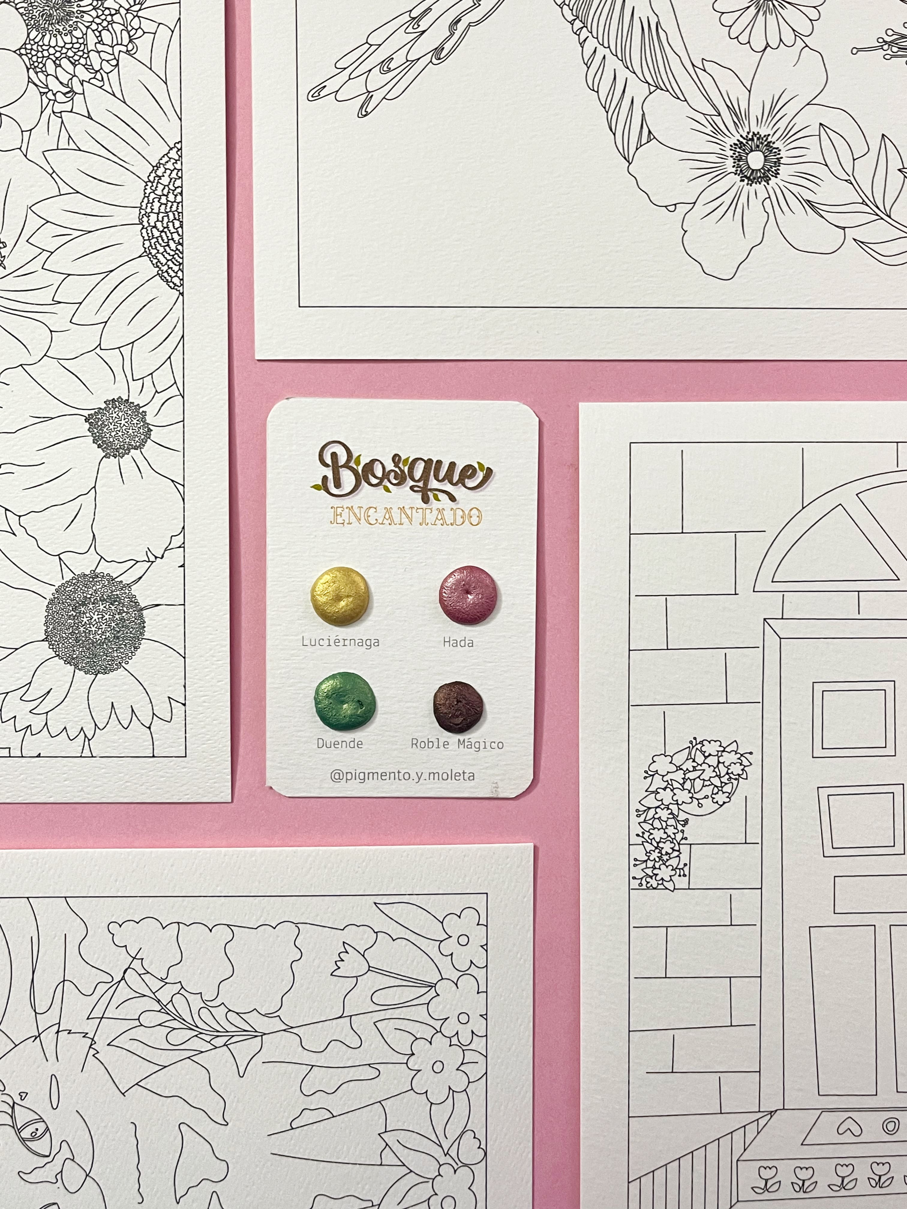 Set Acuarela Surtido | 4 ilustraciones + Puntiset 4 colores