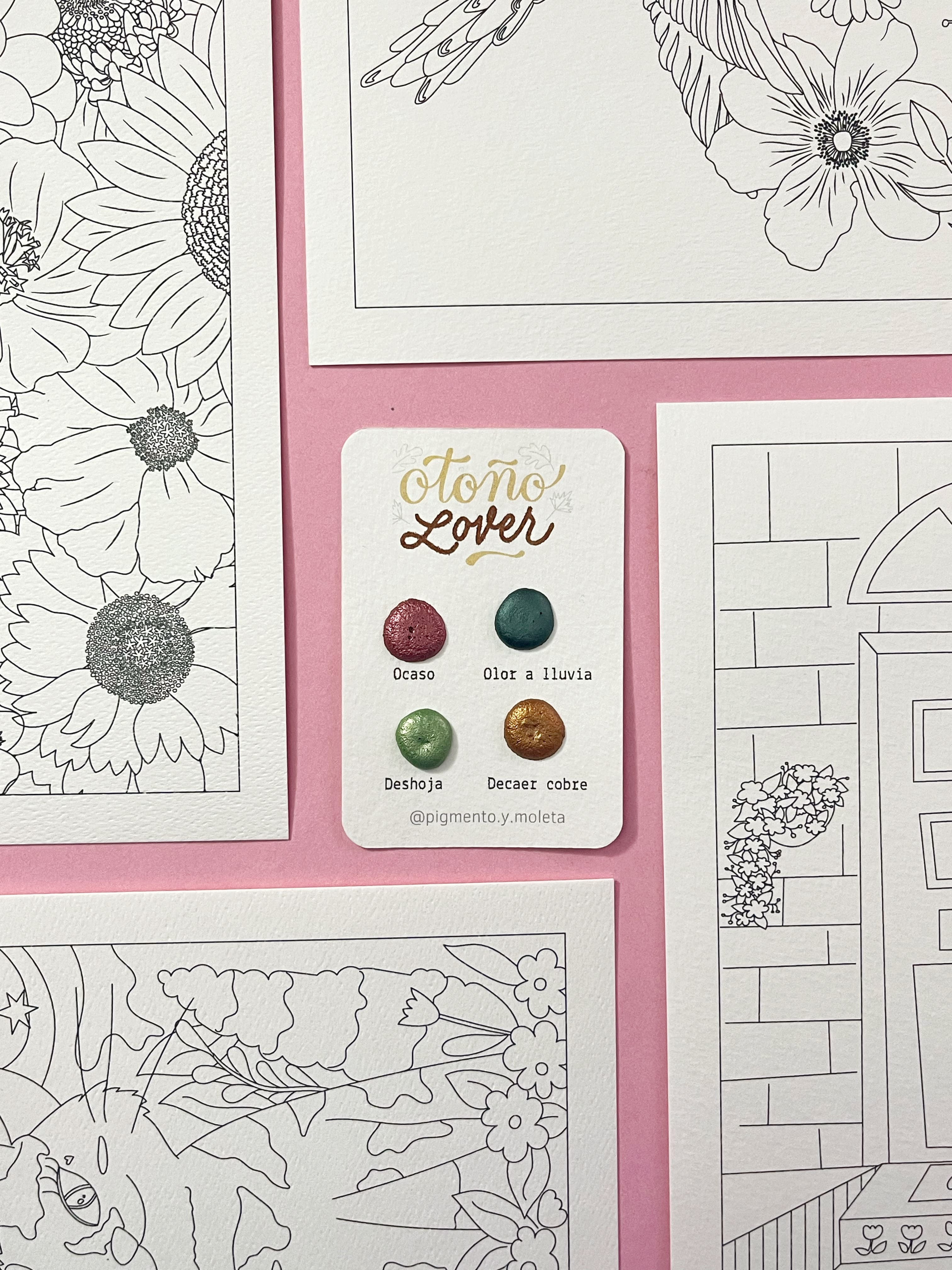 Set Acuarela Surtido | 4 ilustraciones + Puntiset 4 colores