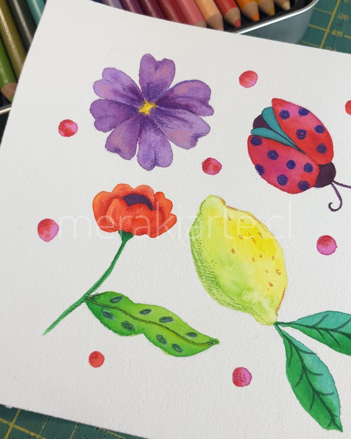 Acuarelas Y Lápices Acuarelables De Himi, Van Gogh, Ohuhu, Arrtx Y Derwent