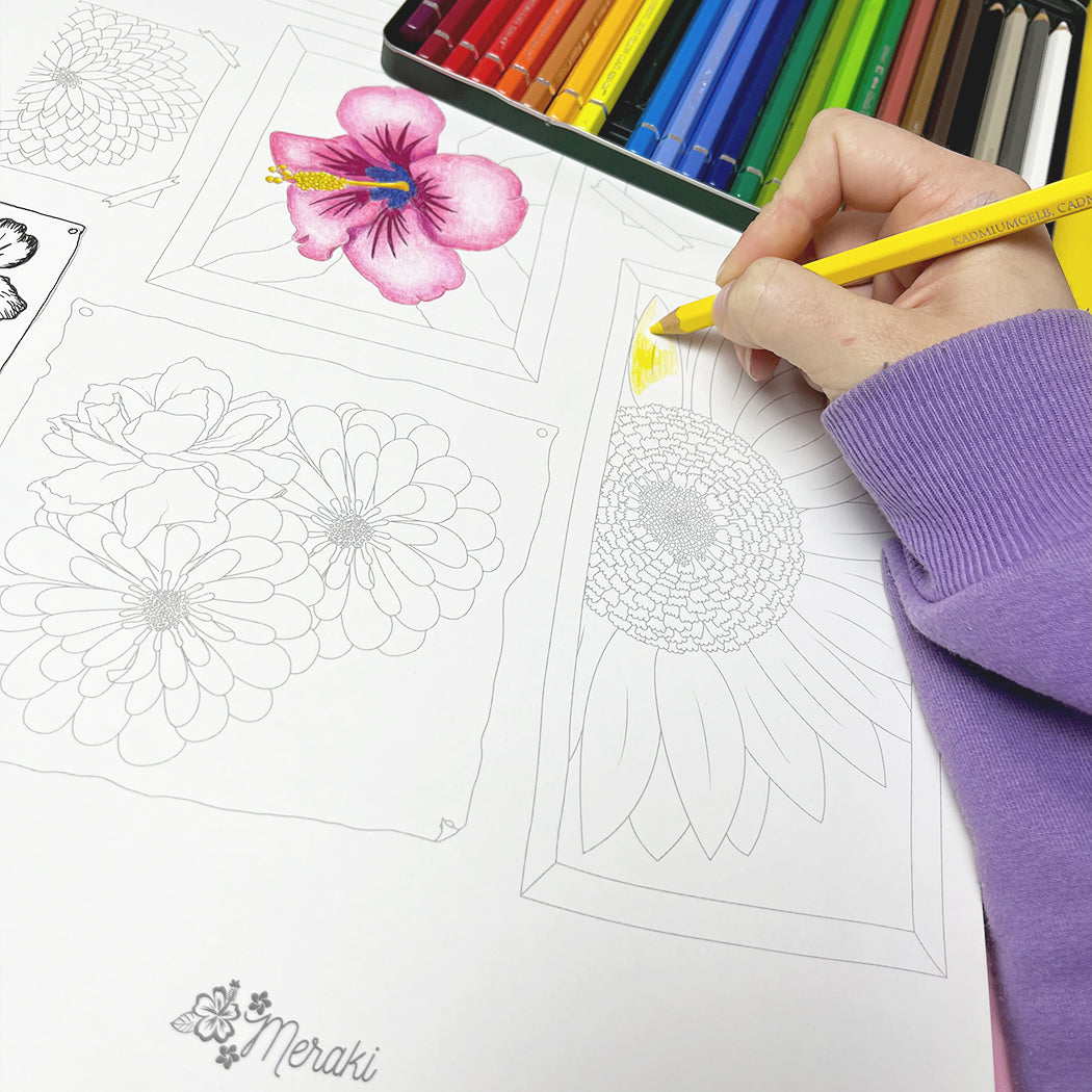 Todos Los Productos Meraki: Papelería, Arte, Decoración Y Accesorios Ilustrados