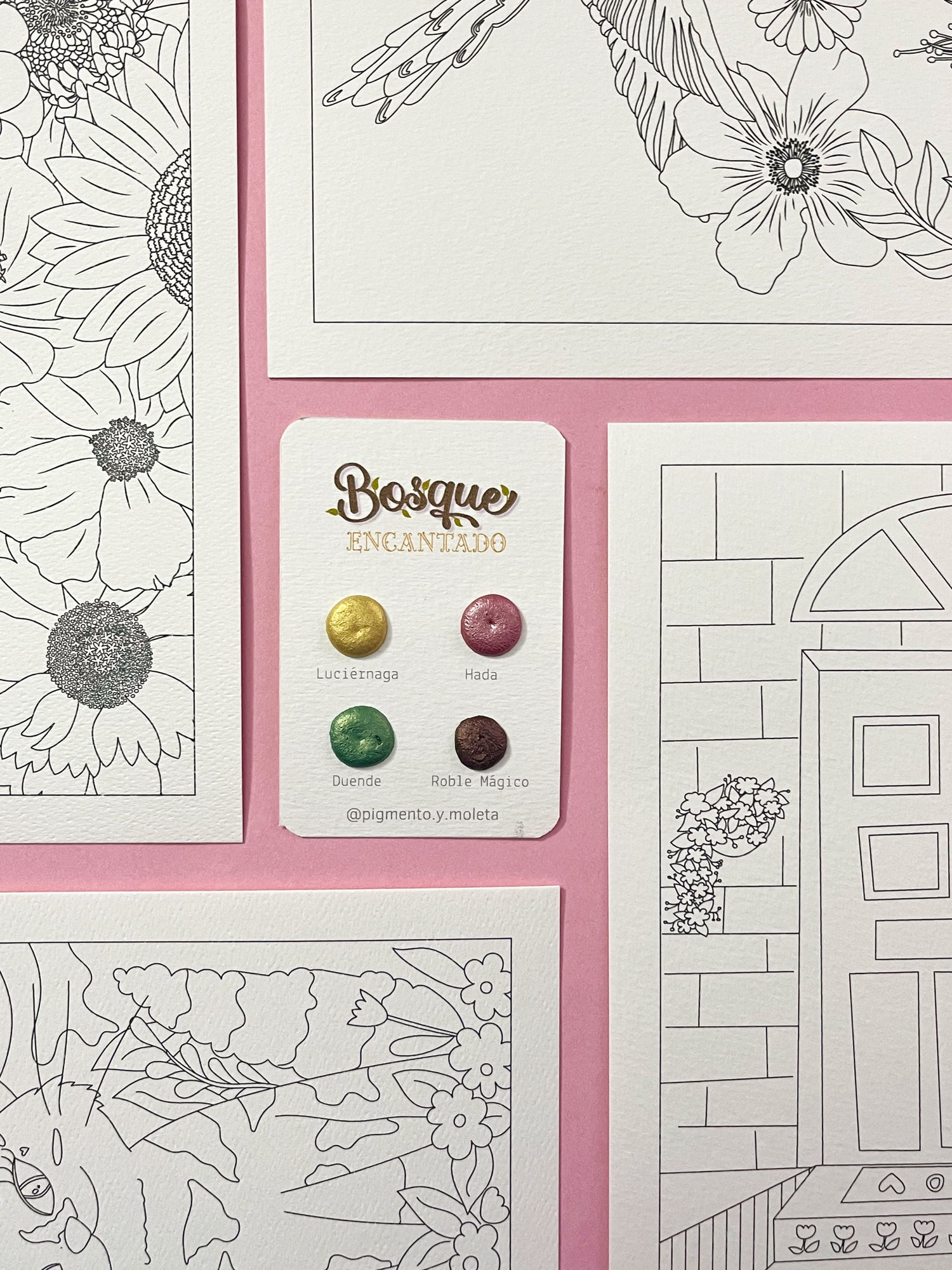 Set Acuarela Surtido | 4 ilustraciones + Puntiset 4 colores