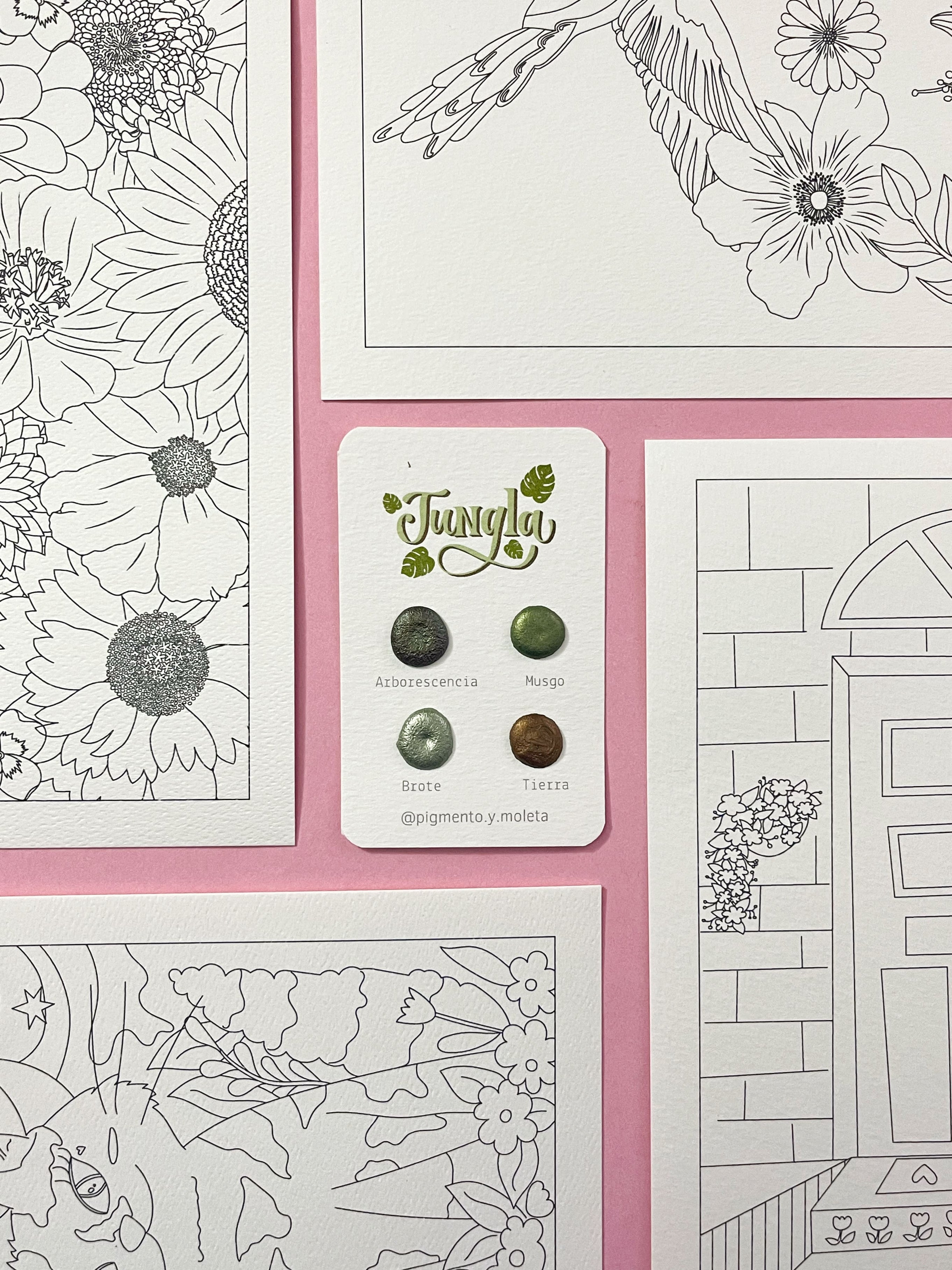 Set Acuarela Surtido | 4 ilustraciones + Puntiset 4 colores