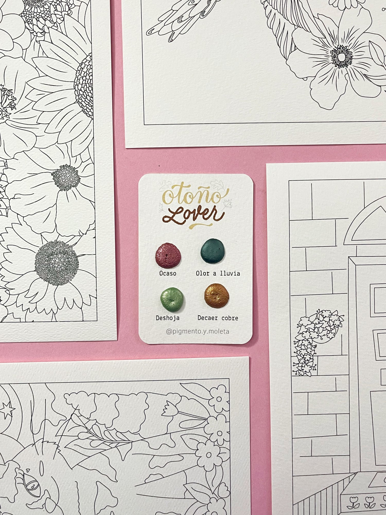 Set Acuarela Surtido | 4 ilustraciones + Puntiset 4 colores