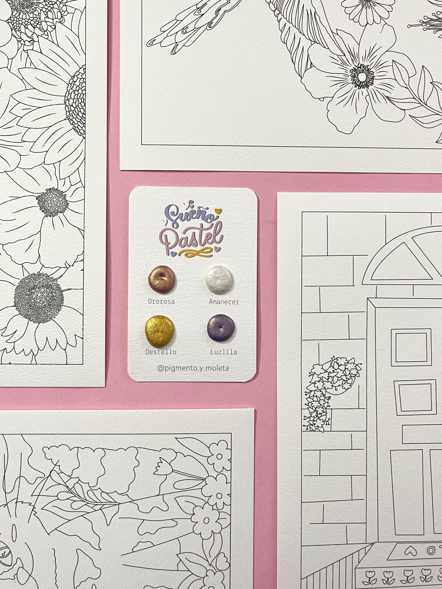 Set Acuarela Surtido | 4 ilustraciones + Puntiset 4 colores