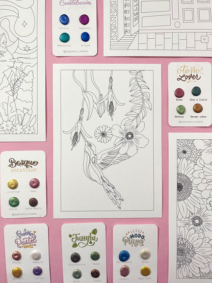 Set Acuarela Surtido | 4 ilustraciones + Puntiset 4 colores