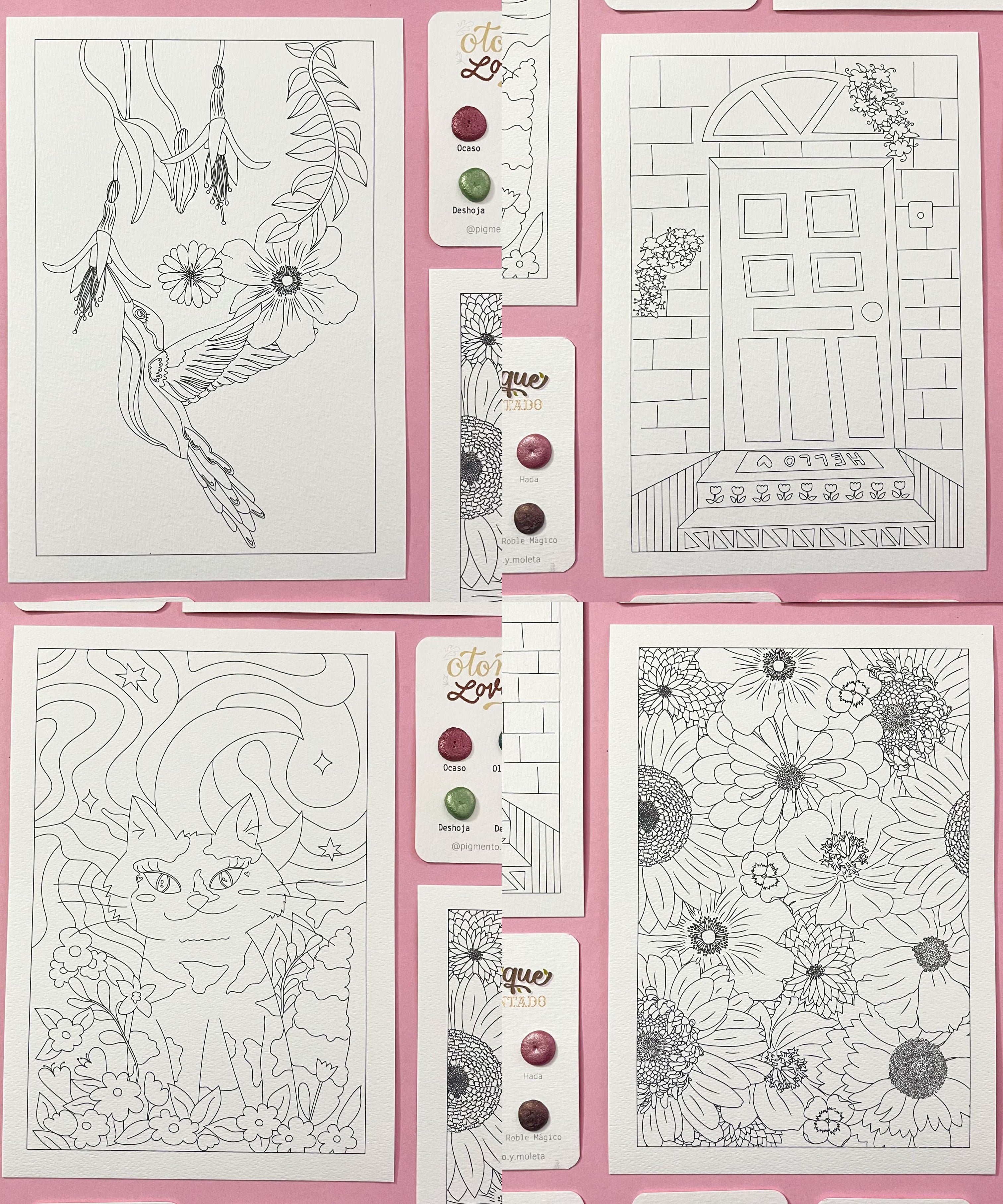 Set Acuarela Surtido | 4 ilustraciones + Puntiset 4 colores