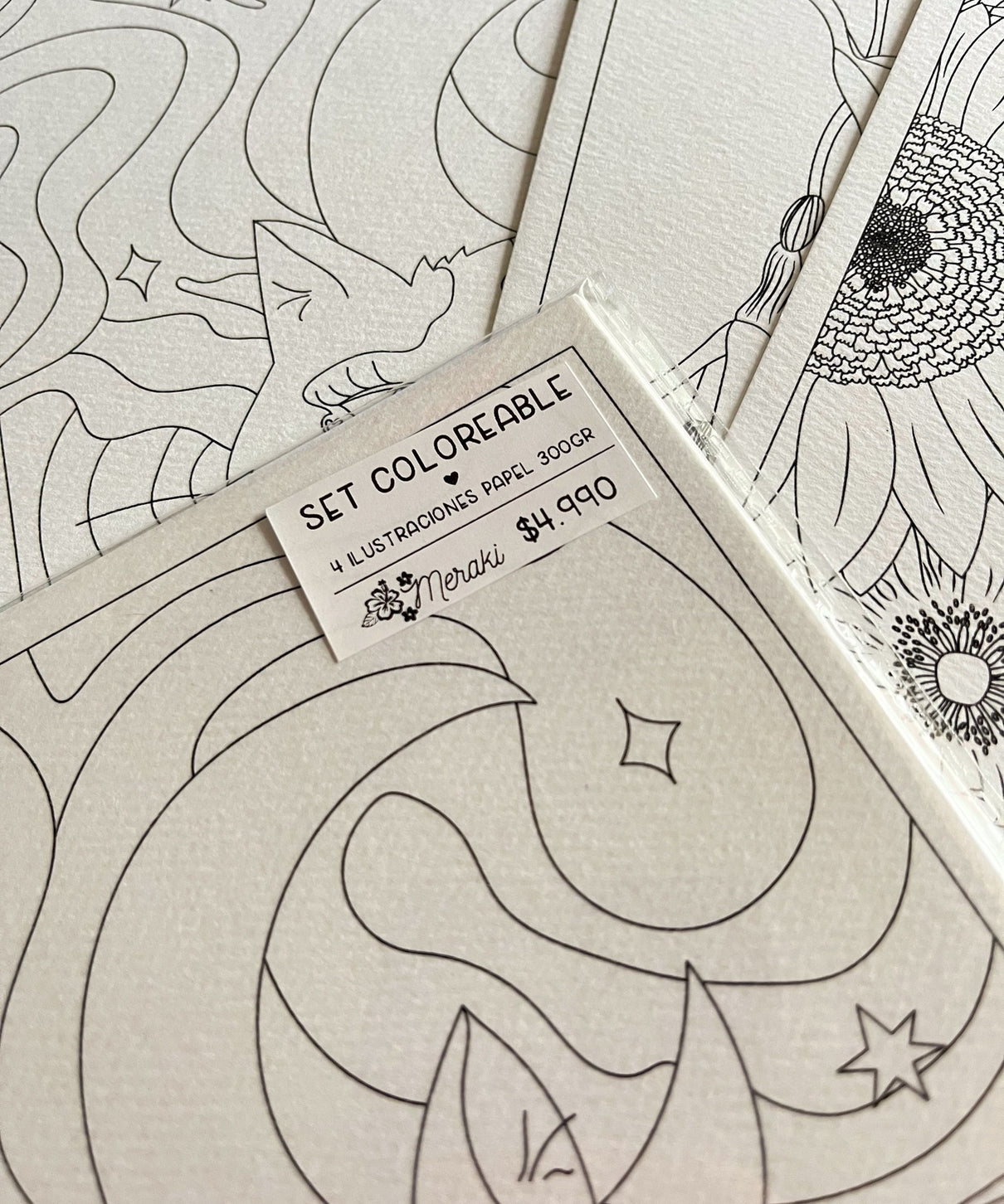 Set de 4 ilustraciones para pintar