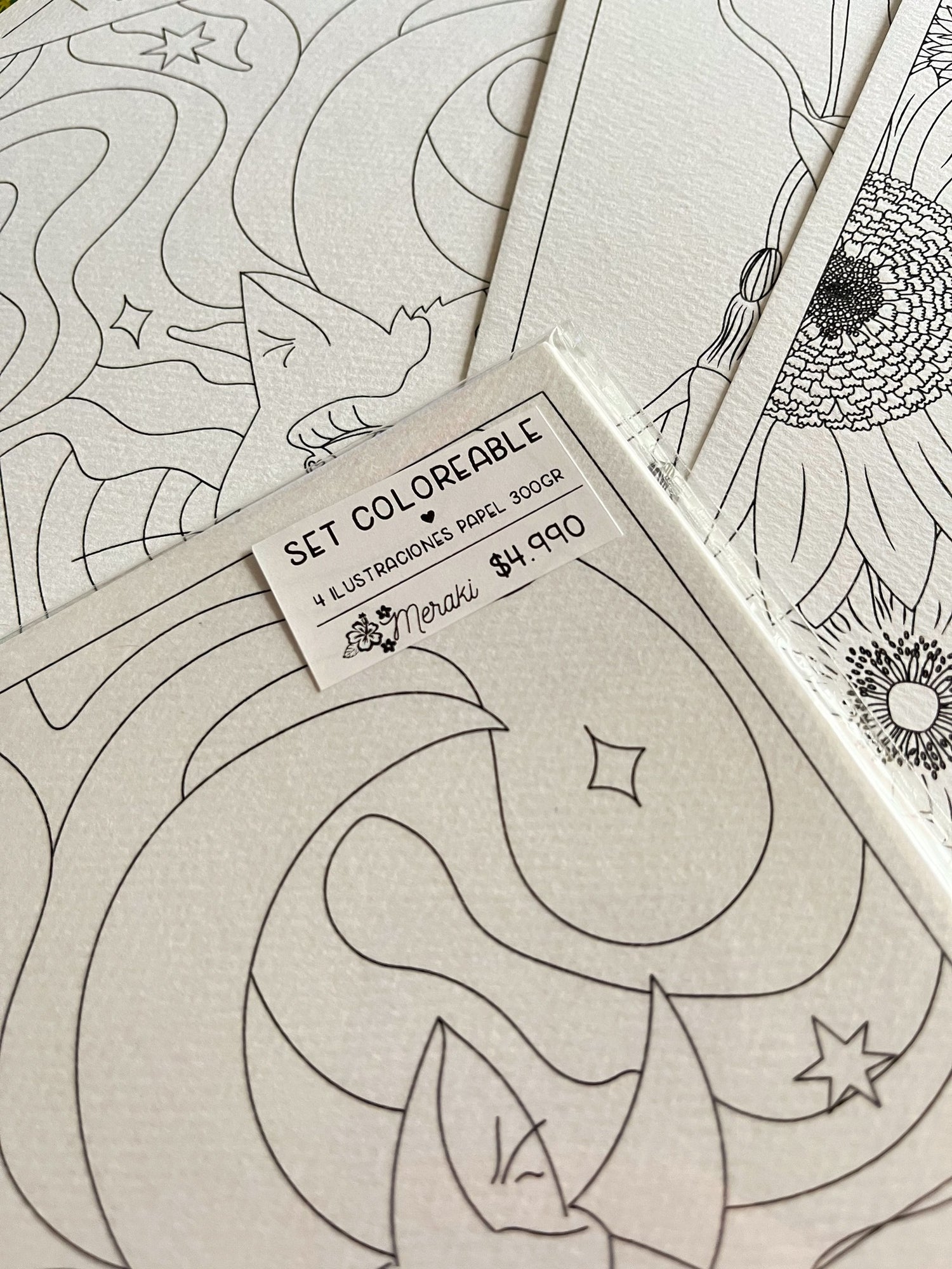 Set de 4 ilustraciones para pintar